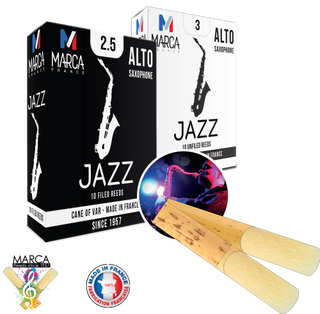 Anches Marca JaZZ Filed Saxophone Alto (10)