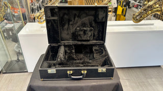 Yamaha Flugel Horn & Trumpet Case