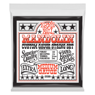 Cordes Mandoline Ernie Ball Stainless Steel Loop End