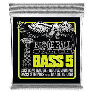 Cordes Guitare Basse 5 Cordes Ernie Ball Coated Regular Slinky 45-130
