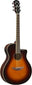 Old Violin Sunburst