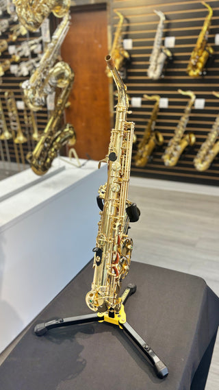 Saxophone Alto Expression Usagé