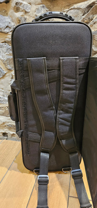 Twigg TAS-1958 Alto Saxophone