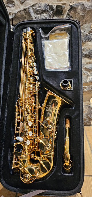 Twigg TAS-1958 Alto Saxophone