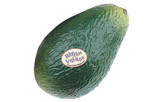 Shaker Rhythm Tech Fruits Avocat