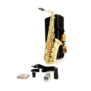 Selmer Prelude AS711 Alto Saxophone