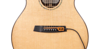 Pick-Up Guitare Acoustique Portatif SG-2