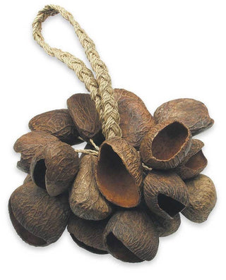 Seed Shell Shaker Toca