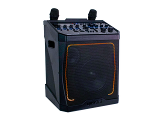 Système de Karaoke Gemini KP-800PRO