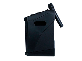 Système de Karaoke Gemini KP-800PRO