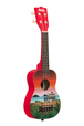 Surfari