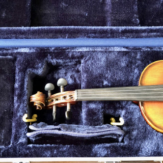 Étui Violon Eastman Thermoplastique
