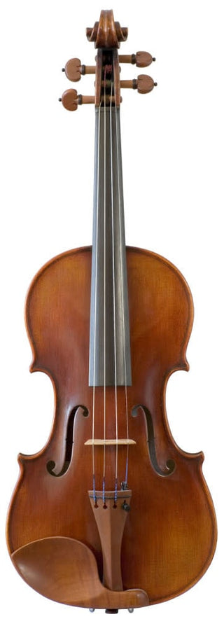 Violon 4/4 Andreas Eastman 405