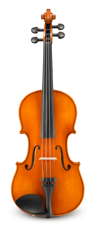 Violon Eastman #100 4/4 (seul)