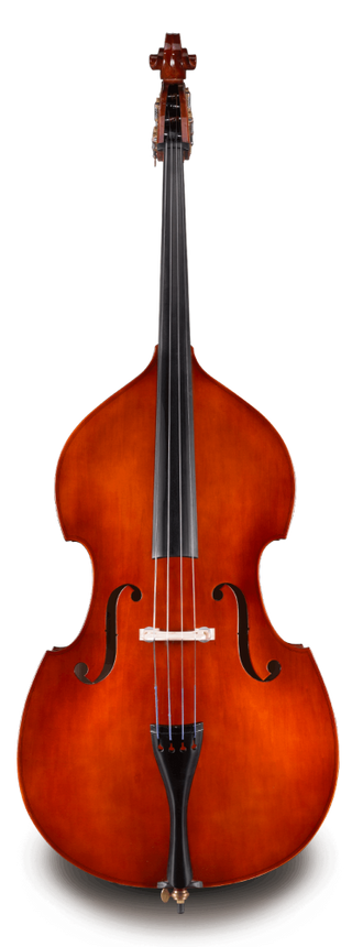 Contrebasse Eastman 80 Kit
