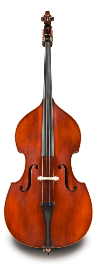 Contrebasse Eastman 95 Kit 3/4
