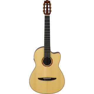Yamaha NCX5 Acoustic-Electric Classical Guitar with Solide Spruce Top