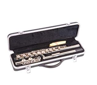 Odyssey Flute Case