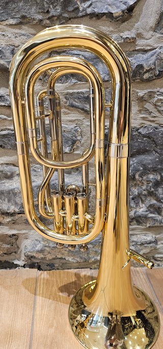 Baryton Twigg Usagée BH-401L