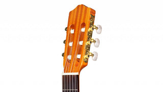 Cordoba Protégé C1 Classical Guitar