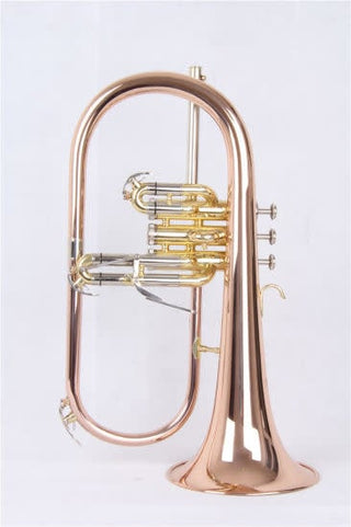 Flugelhorn Expression Verni, avec Étui