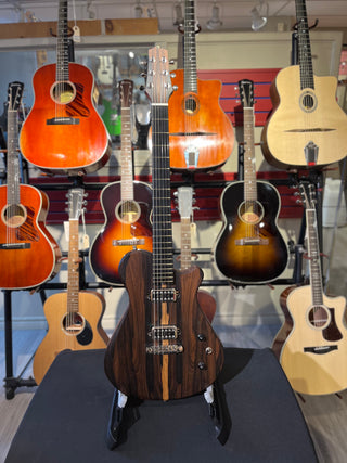 Guitare Électrique Jacques C. Taine