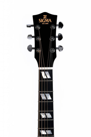 Guitare Acoustique Sigma DM-SG5+