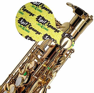 Spit Sponge par Key Leaves Saxophone